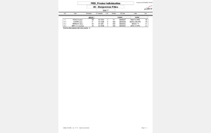 Finales par catégorie - résultats