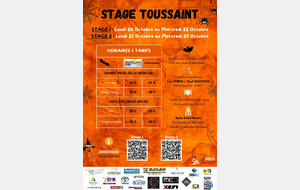 STAGES TOUSSAINT CMATT