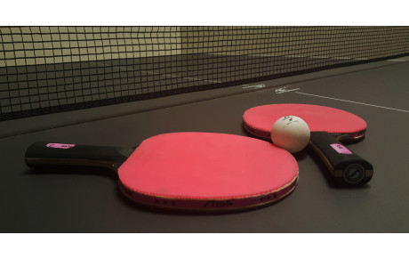 Poules coupe des Ardennes 2025 / 2026 - V2