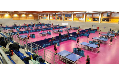 Finales Catégories Résultats