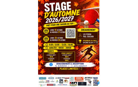 Stages de perfectionnement - Salle Bestel - Pendant les vacances d'Automne